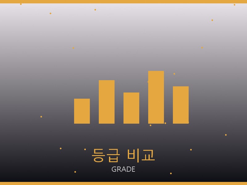 디젤 레플리카 사이트 등급 기준 비교